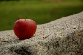 red apple on a rock