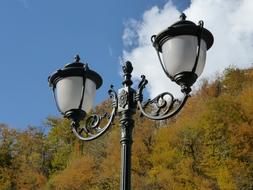 Autumn Lamp