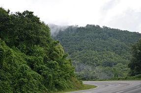 green turves on the hills