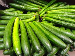 green cucumbers harvest