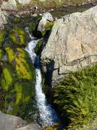 Waterfall Cataract Moss