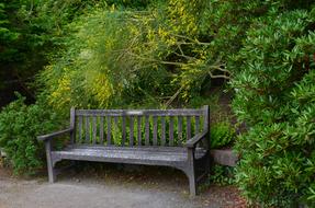 Bank Garden