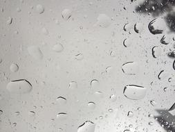 Rain Glass Tree