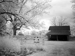 Farm Lasso Fence