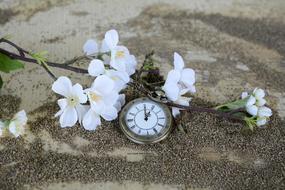 pocket watch decorated with white
