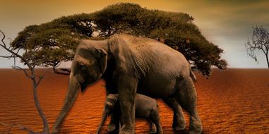 elephants and baobab tree