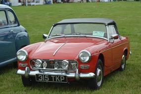 red car on a green lawn