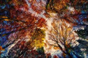 abstract branches landscape nature