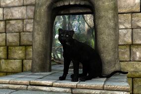 wonderful panther black mystical predator