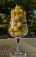 White Grape Glass Harvest