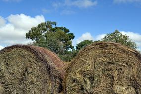 farm grass bales