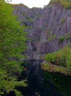 Lake Trees Slate