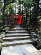 Shrine Torii