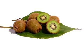 Sweet kiwis on leaf of green