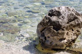 stone with holes in the sea