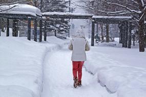 Winter Snow Beautiful