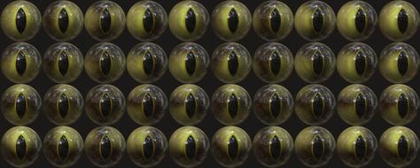 banner header eyes