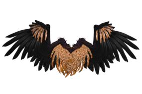 spread brown wings