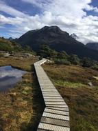 Real Estate Erez Hen New Zealand