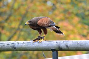 Milan Wildlife Park