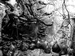 Aesthetic Bottle Stone