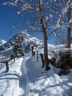 Snow Winter Mountain