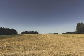 Field Arable Harvest