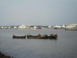 Nature River Boat