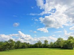 Sky Grass Cloud