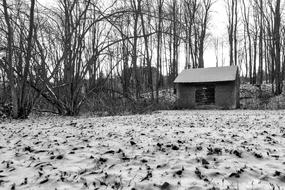 Cabin Winter Snow