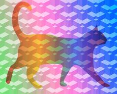 cat kitty walking rainbow background