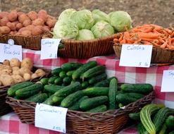 healthy vegetables are delicious