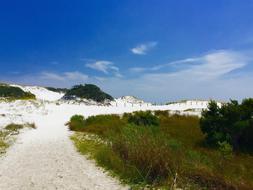 Beach Sand Summer