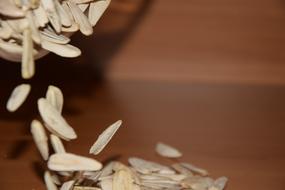 Sunflower Seeds Sun