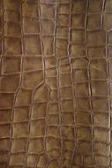 Brown Leather Structure