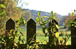 Garden Fence Autumn