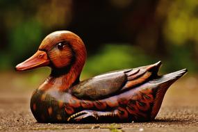 wood duck as figure