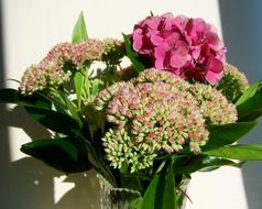 beautiful flowers in a vase trimmed by the sun