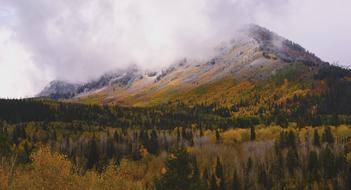 Sweeping Foggy Mountain