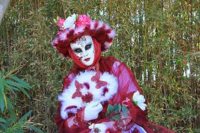 beautiful lady in a masquerade costume with fan