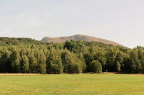 The Mountains of Bieszczady Polonina