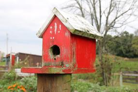 incredible Bird House red