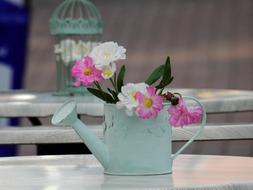 Gies Jug Flowers Deco