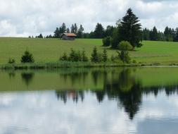 Pond Mirroring Nature