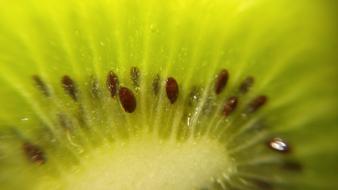 macro snapshot of green kiwi