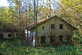 Ruin Forest WitchS House