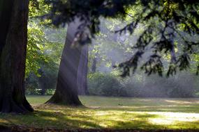 Autumn Morning SunS Rays