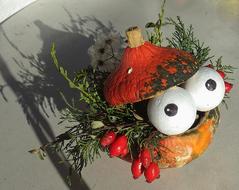 Pumpkin Autumn Harvest