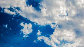 Sky Clouds Birds
