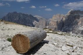 Dolomite Log Landscape